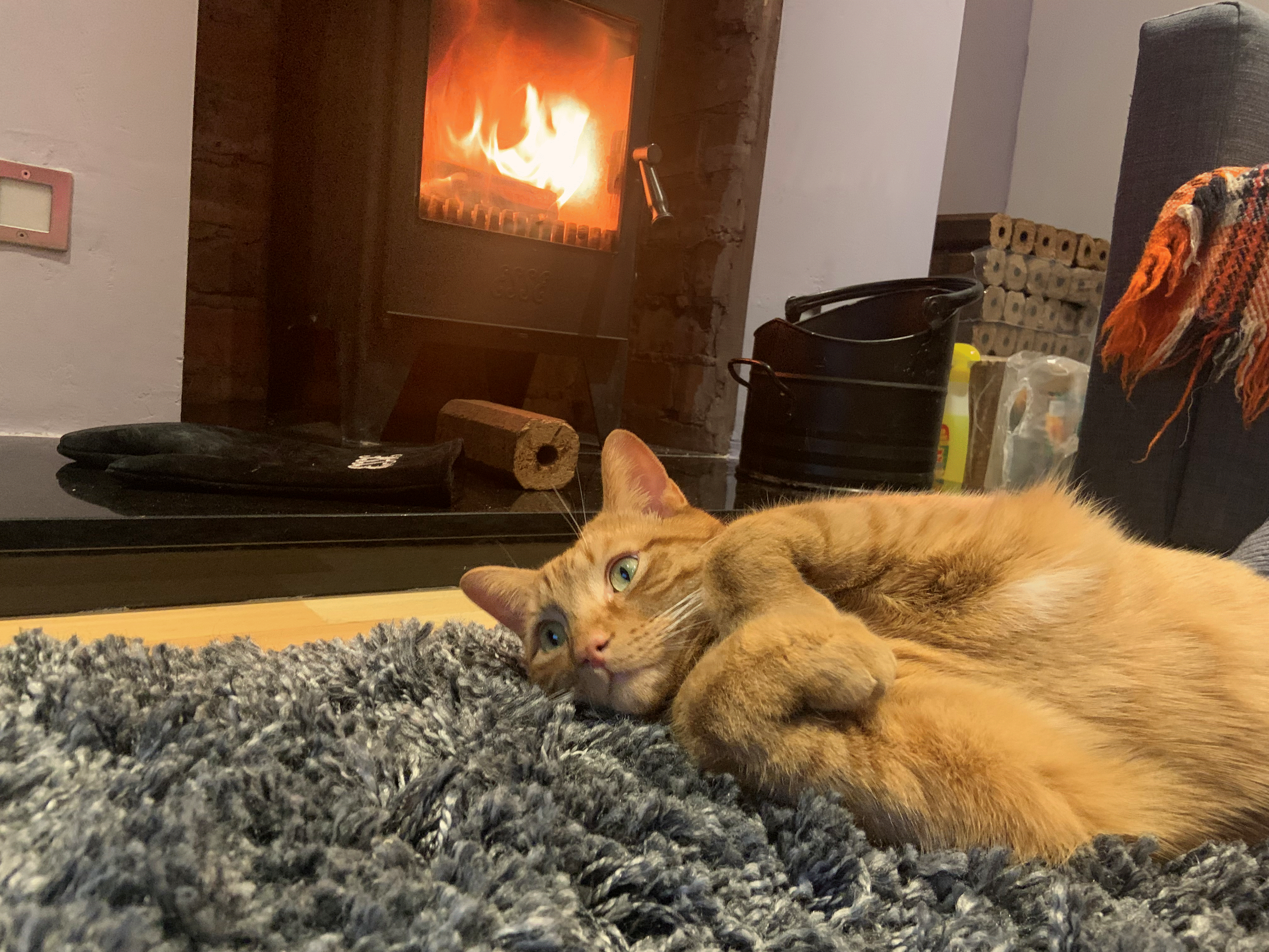 Jonesy Fireplace